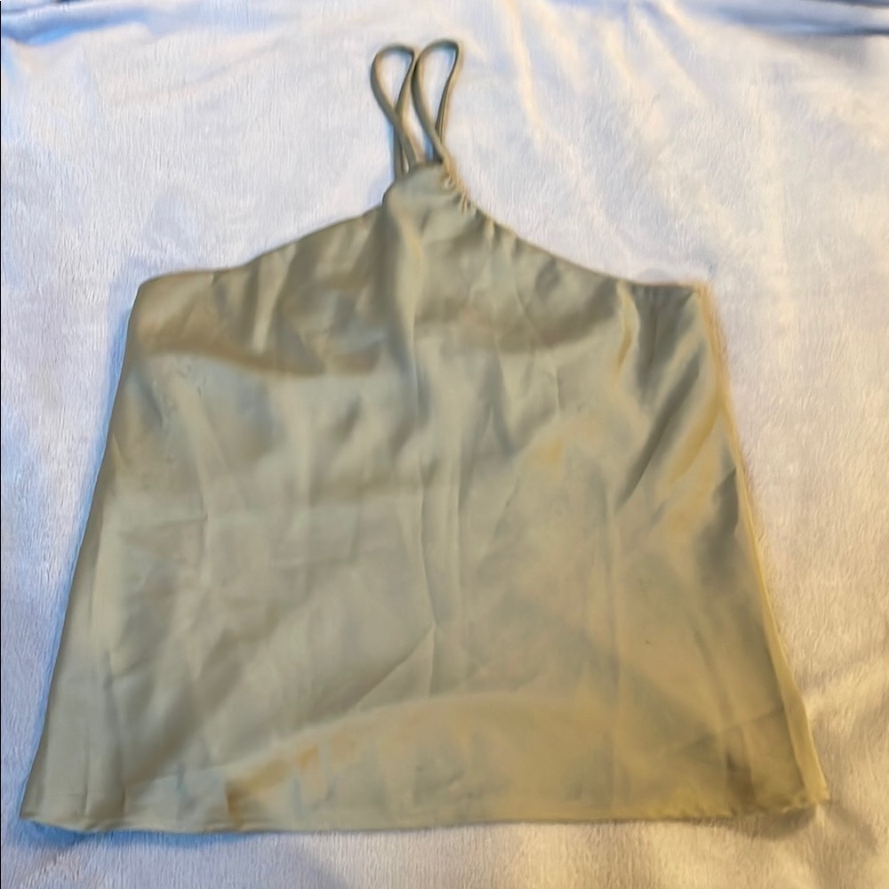 Renee C. Light Green Satin Top